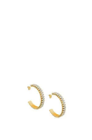 Farrah B Muse Medium Hoop Earrings In Gold