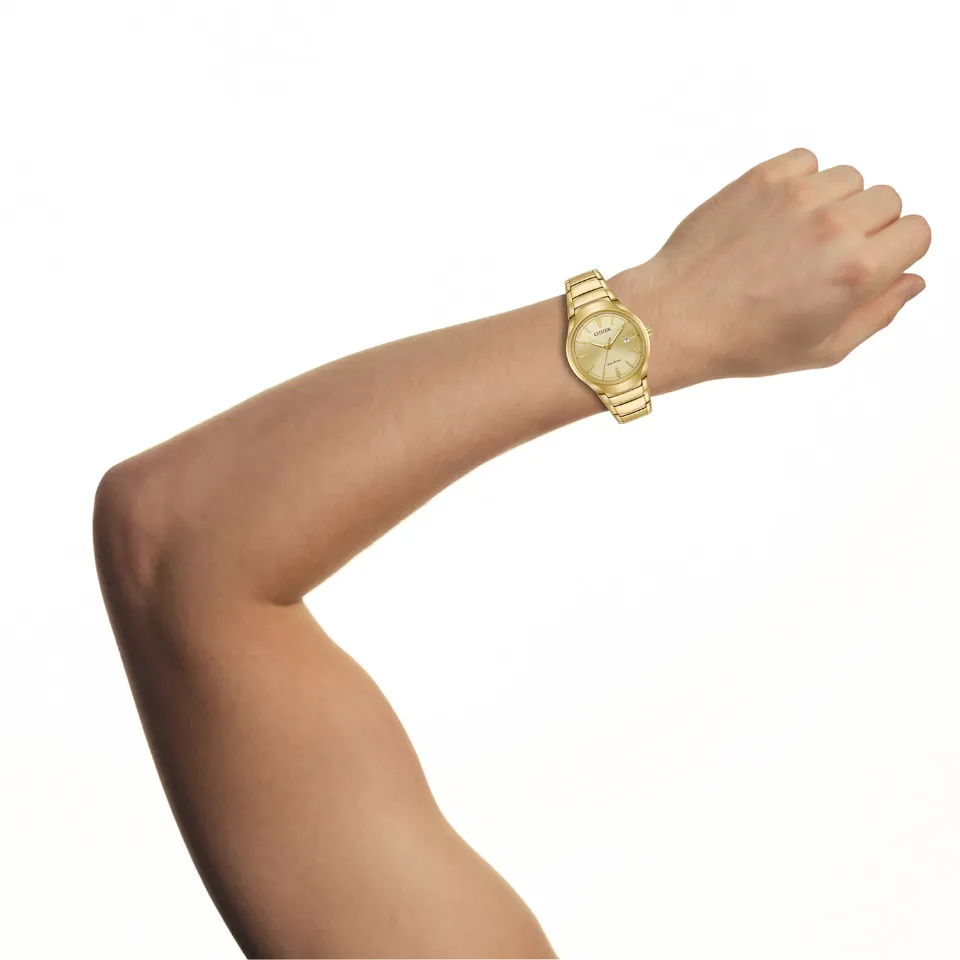 Paradigm- Men's Gold-Tone Eco-Drive