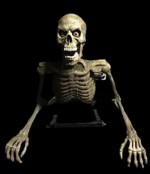 "Peeper" Skeleton Halloween Animatronic