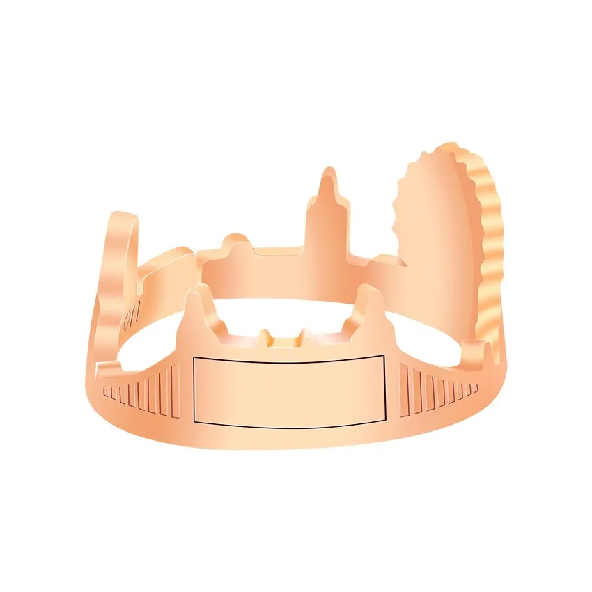 Statement City Charm Ring Stainless Steel London